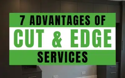 7 Advantages of Cut and Edge Services